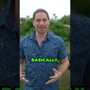 maxresdefault 19
